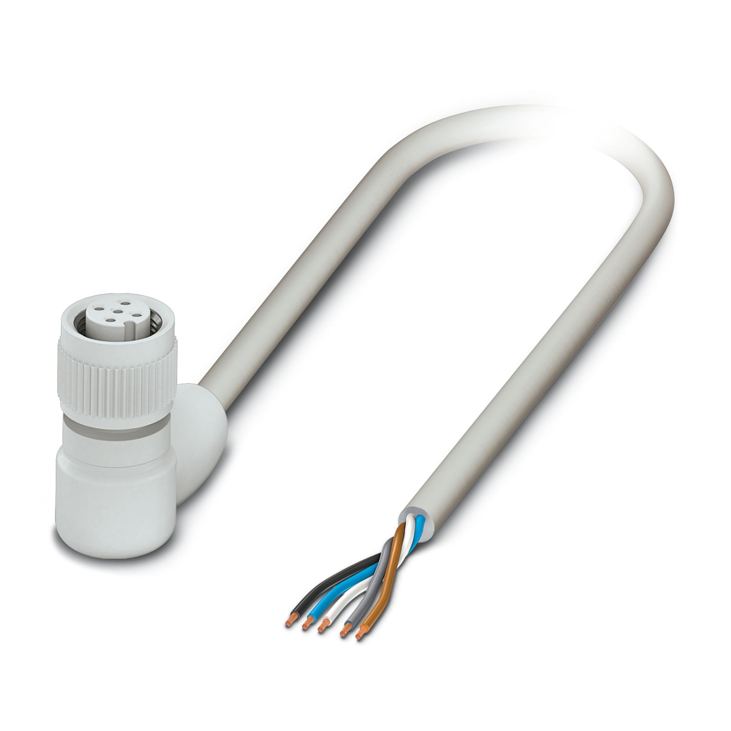 SAC-5P-10,0-600/M12FR FB