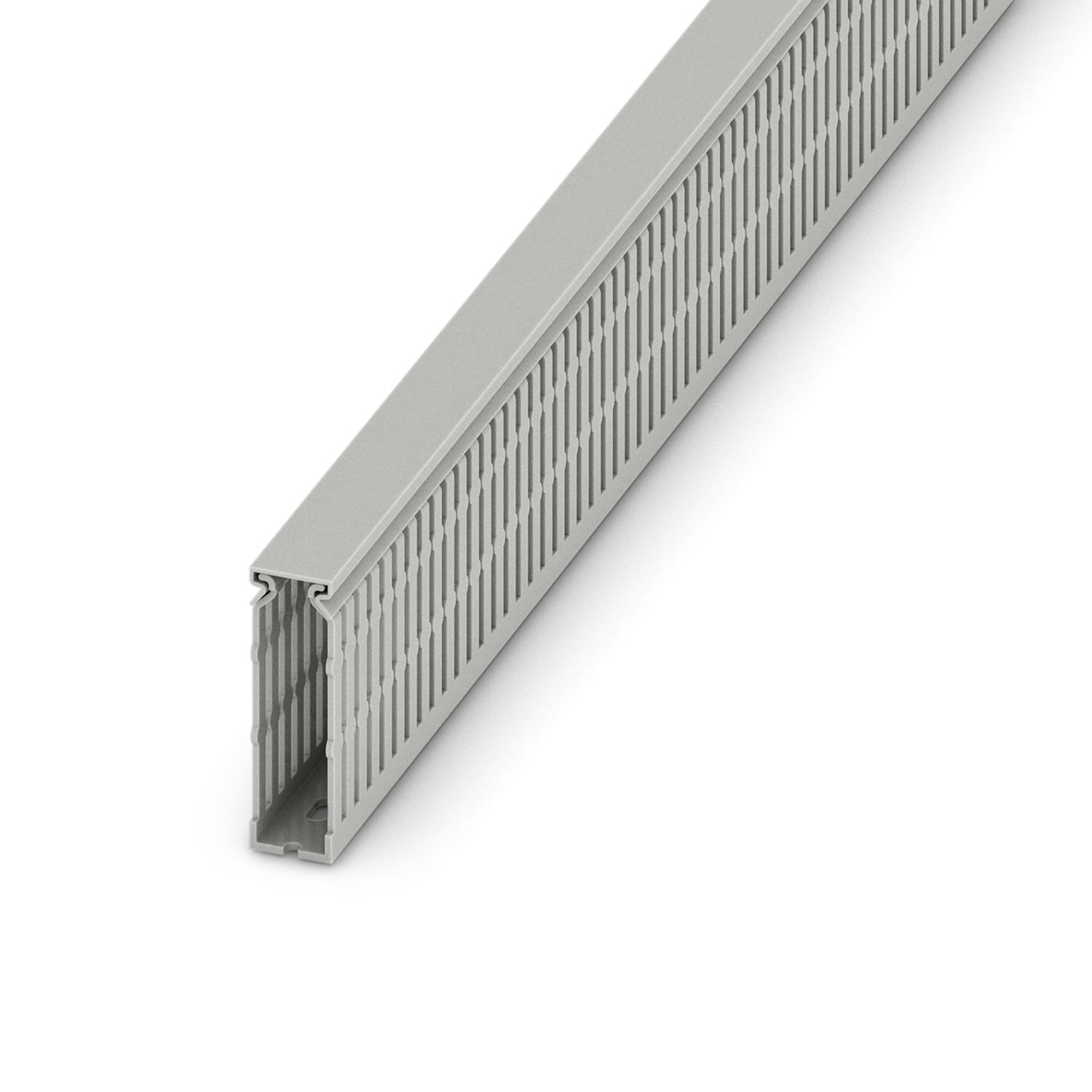CD 25X80