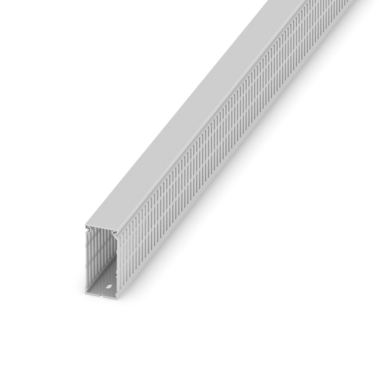 CD 40X80