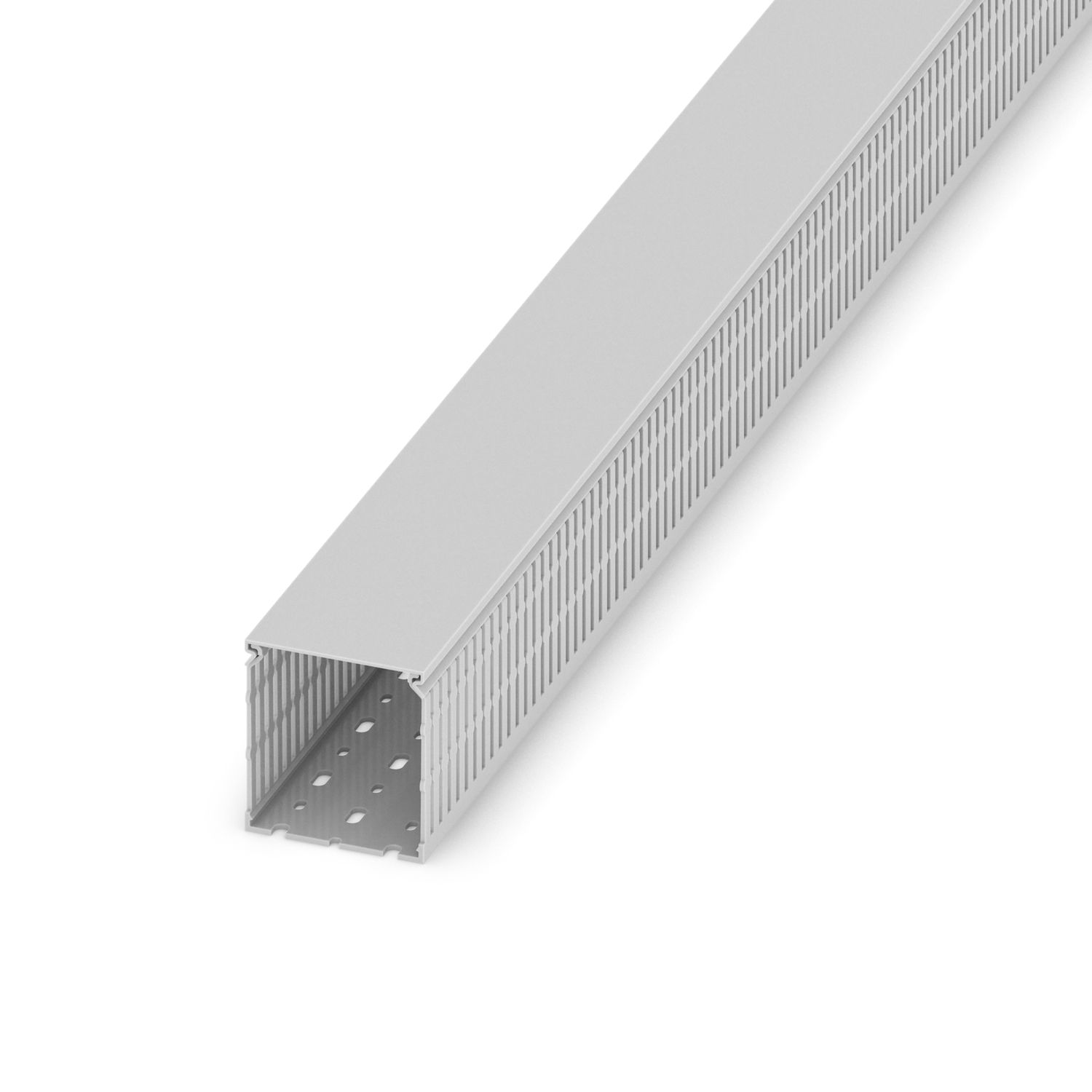 CD 80X80
