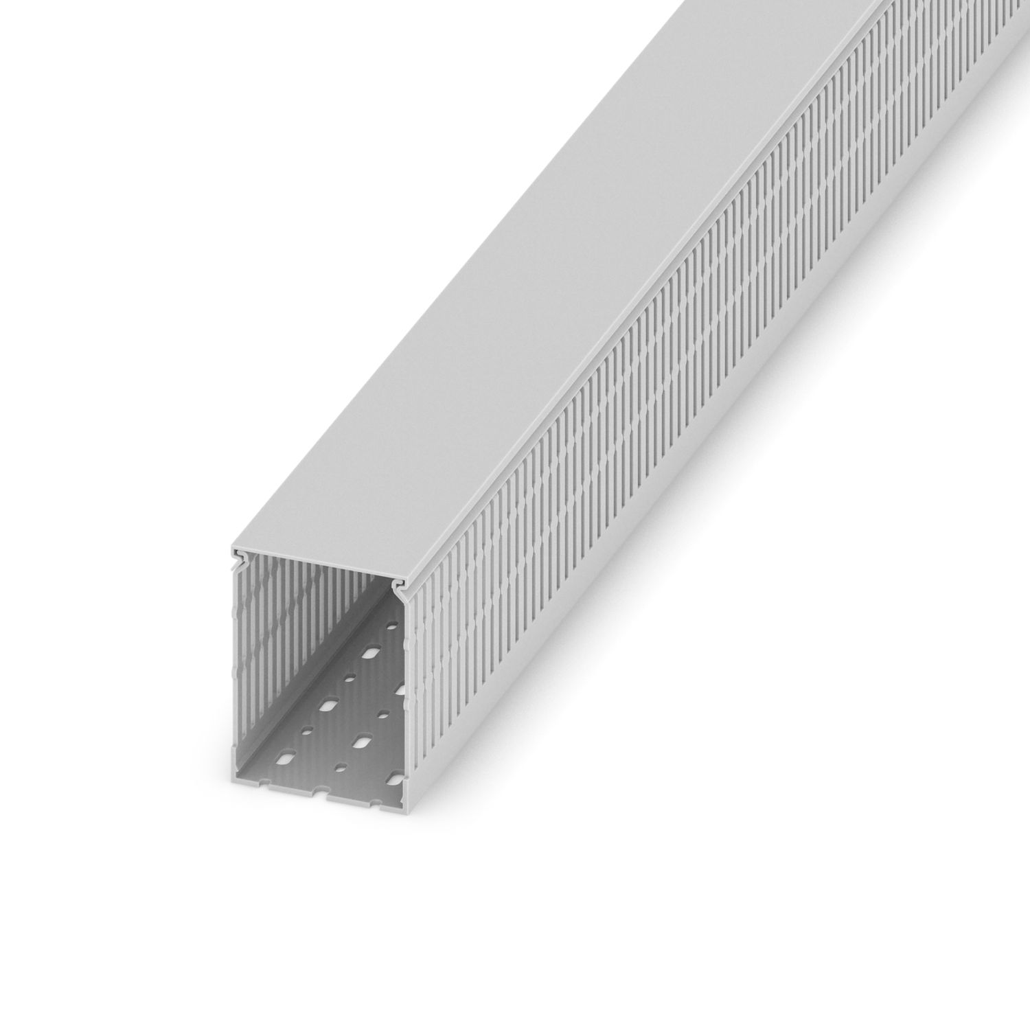 CD 80X100