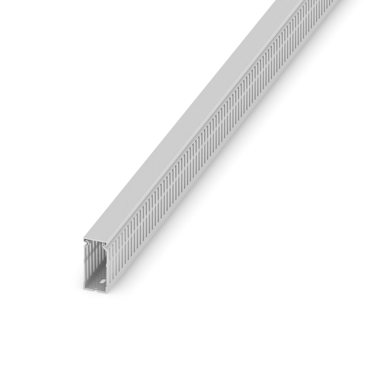 CD 30X60