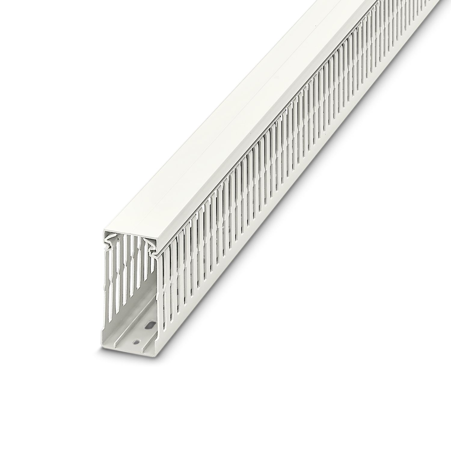 CD 40X80 WH
